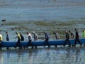 South Kerry Seine