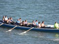 South Kerry Seine in Action